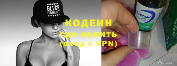 молекула духа Алзамай