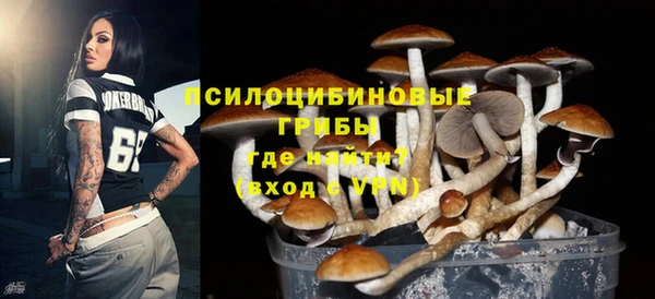 молекула духа Алзамай