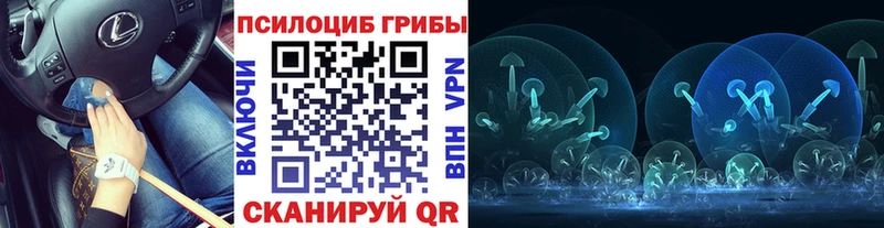 магазин продажи наркотиков  Данилов  Галлюциногенные грибы GOLDEN TEACHER 